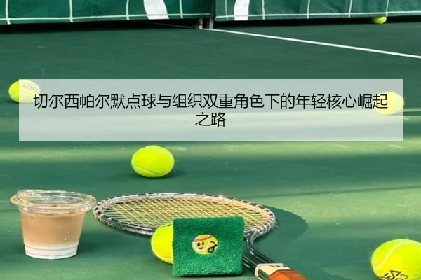 切尔西帕尔默点球与组织双重角色下的年轻核心崛起之路