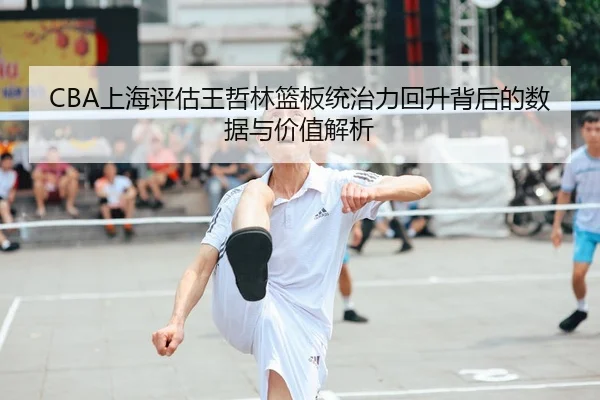 CBA上海评估王哲林篮板统治力回升背后的数据与价值解析