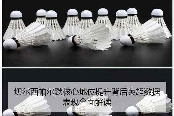 切尔西帕尔默核心地位提升背后英超数据表现全面解读 - c7c7·app