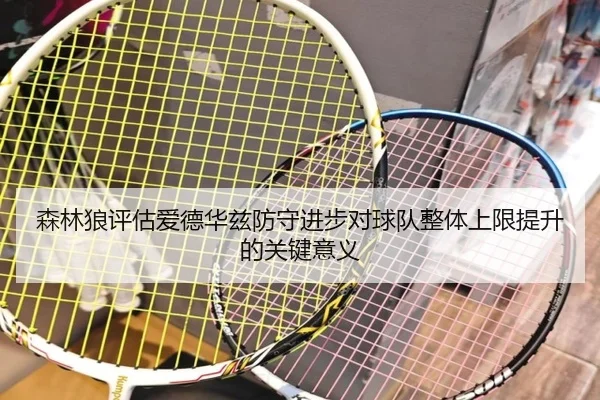 森林狼评估爱德华兹防守进步对球队整体上限提升的关键意义 - c7c7·app